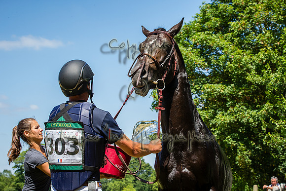 20190715_EKL_0235