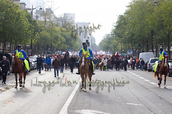 20131124_EKL_0022