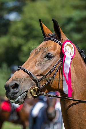 20150906_EKL_0088