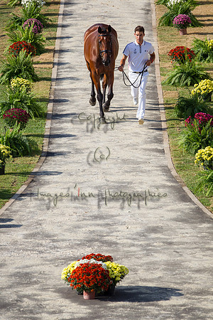 20160805_EKL_0035
