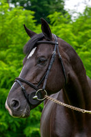 20080607_EKL_0090