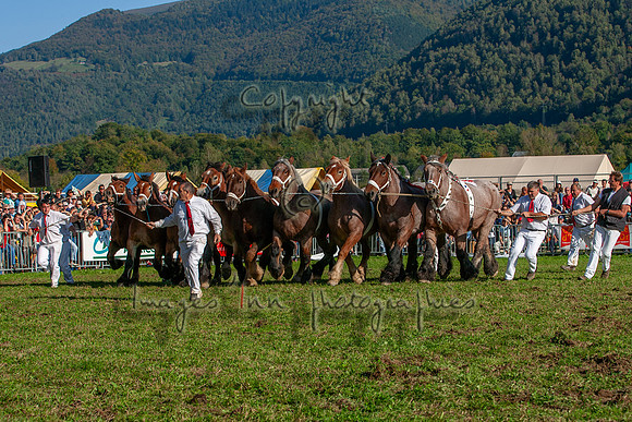 20061008_EKL_0155