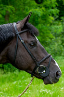 20080607_EKL_0107
