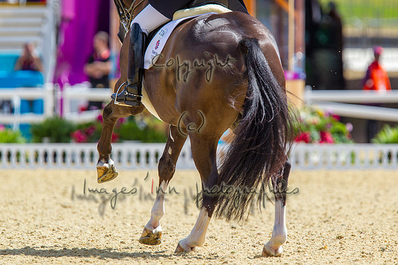 20120803_EKL_0366