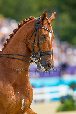 20120803_EKL_0559
