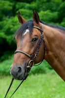 20080607_EKL_0033