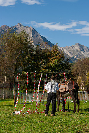 20061008_EKL_0055