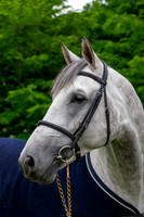 20080607_EKL_0010