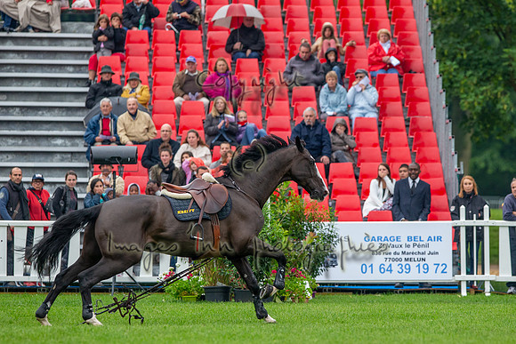 20130609_EKL_0318
