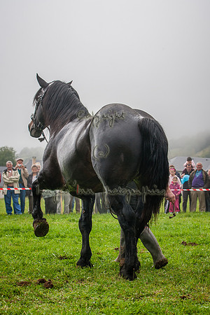 20061007_EKL_0151