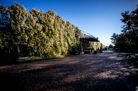 20201003_EKL_0019