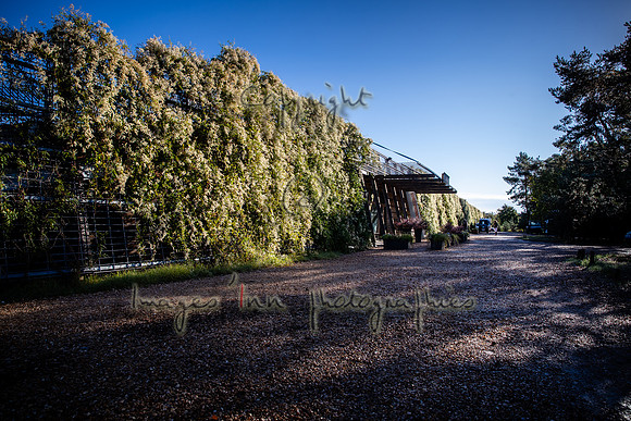 20201003_EKL_0019