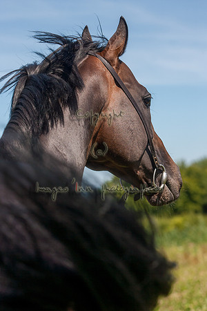 20080724_EKL_0032