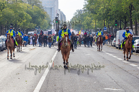 20131124_EKL_0021