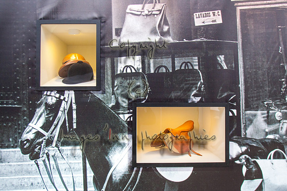 20100404_EKL_0008
