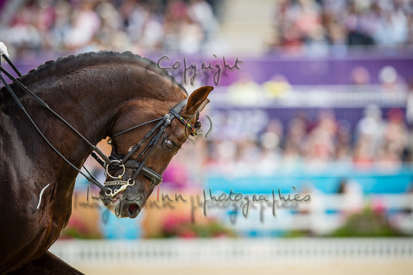 20120803_EKL_0601
