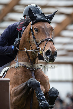 20150516_EKL_0092