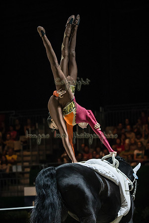 20140905_EKL_0081