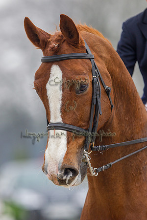 20130406_EKL_0141