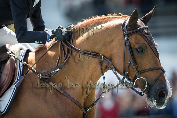 20150517_EKL_0067