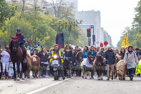 20131124_EKL_0024