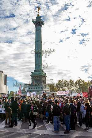 20131111_EKL_0066