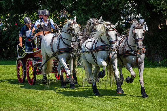 20150822_EKL_0091