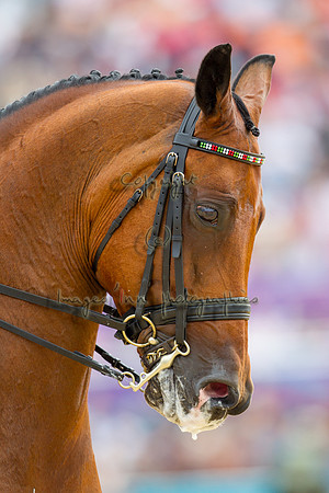 20120807_EKL_0110