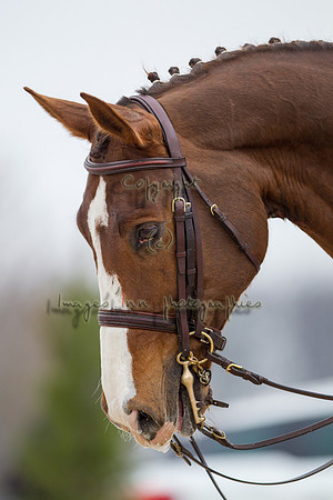 20130406_EKL_0079