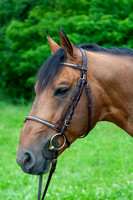 20080607_EKL_0050