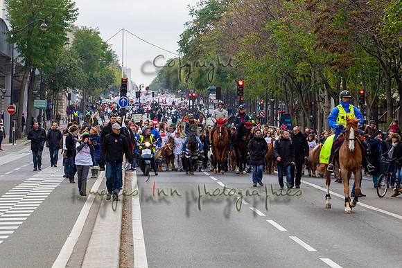 20131124_EKL_0051