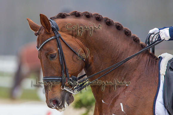 20130406_EKL_0057