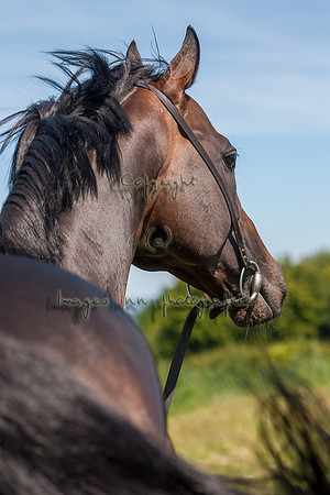 20080724_EKL_0033