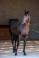 20080724_EKL_0011