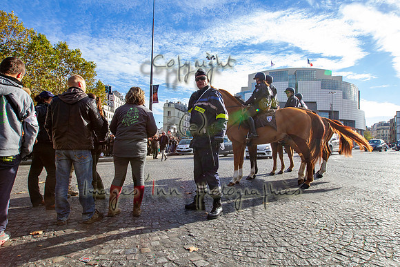 20131111_EKL_0015