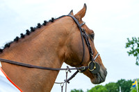 20080607_EKL_0150