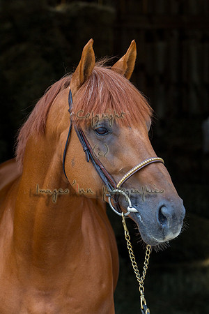 20120902_EKL_0220