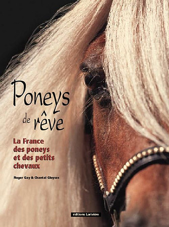 Poney de reve