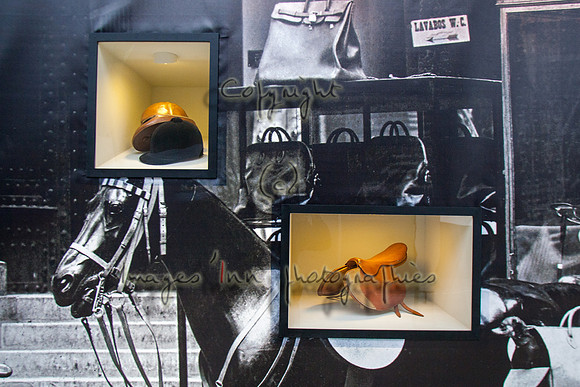 20100404_EKL_0007