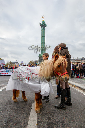 20131124_EKL_0146