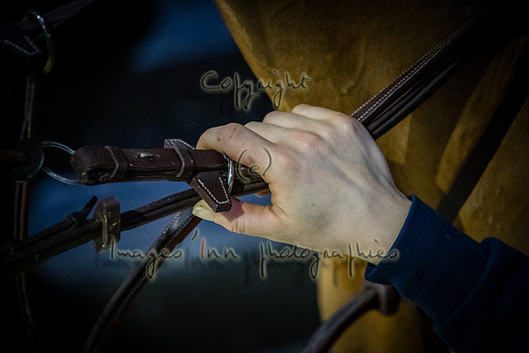 20190207_EKL_0007