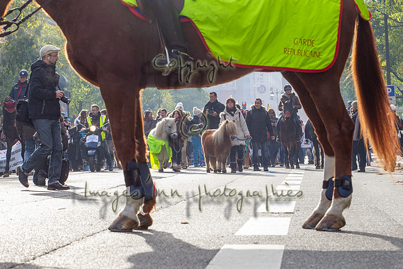 20131124_EKL_0019
