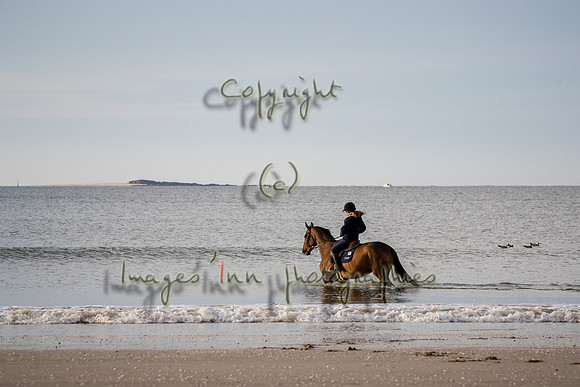 20190517_EKL_0003