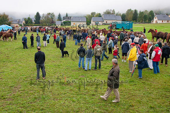 20061007_EKL_0153