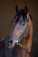 20080724_EKL_0008
