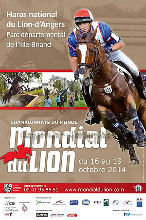 Mondial-du-Lion-2014