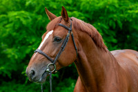 20080607_EKL_0068