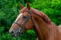 20080607_EKL_0066