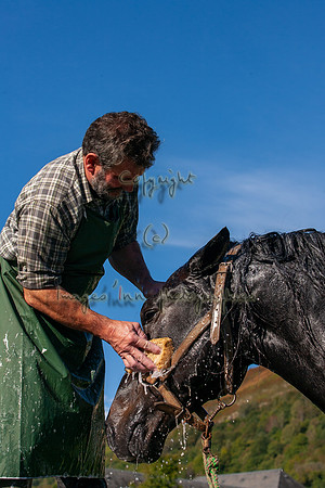 20061008_EKL_0014