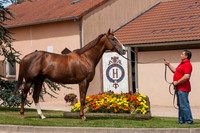 20080724_EKL_0003